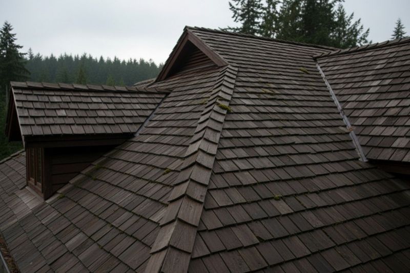 Cedar Shingles Replacement detail