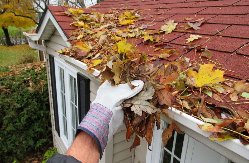 Fall Maintenance Activities